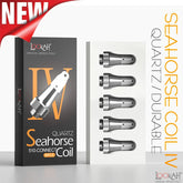 LOOKAH | SEAHORSE COIL IV